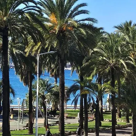 Croisette Loft Vue Daire